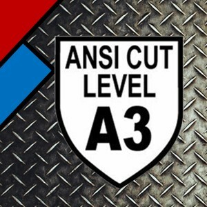 ANSI A3